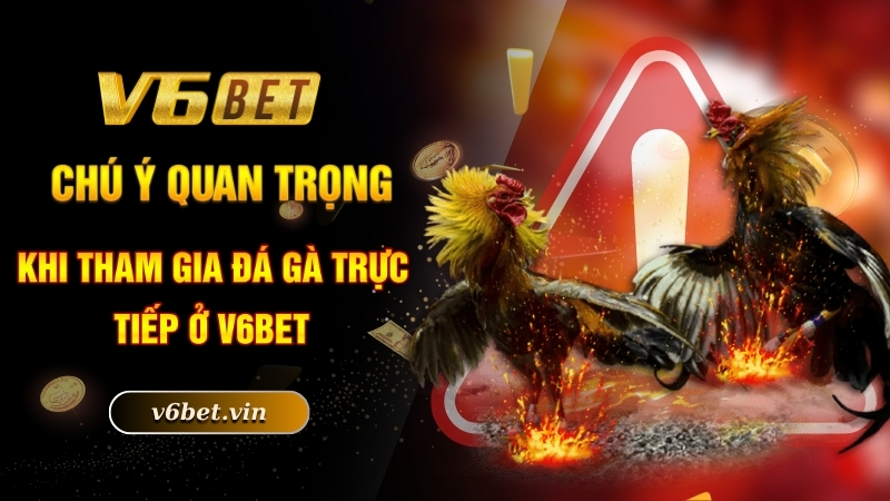 Chú ý quan trọng khi tham gia đá gà trực tiếp ở V6bet