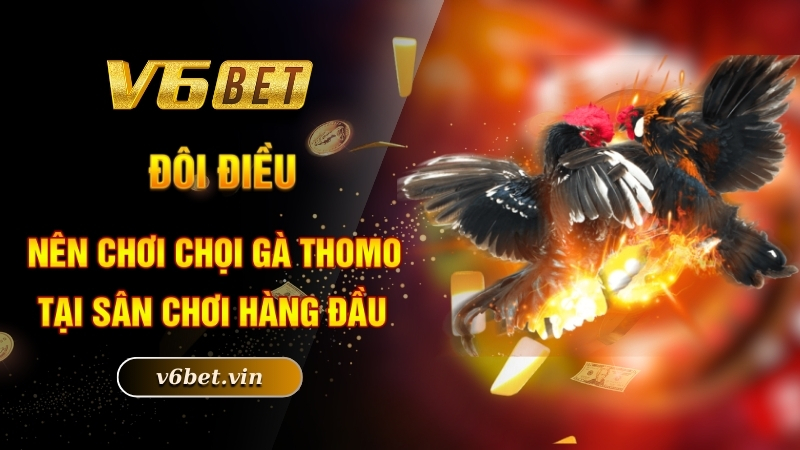Đôi điều về đá gà Thomo