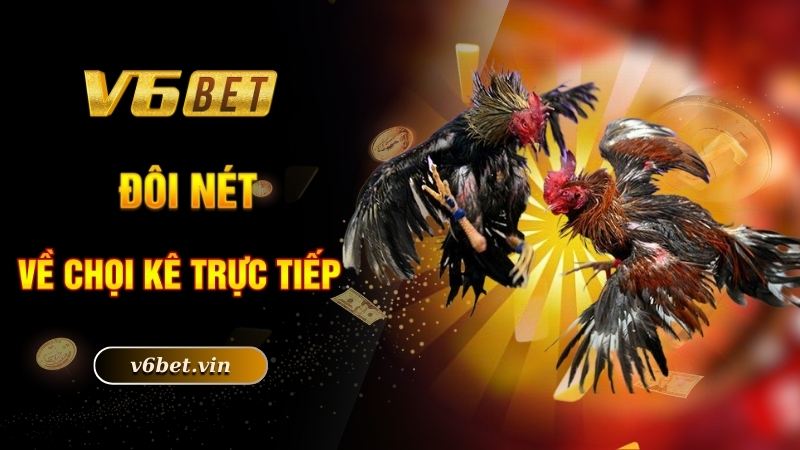 Đôi nét về chọi kê trực tiếp
