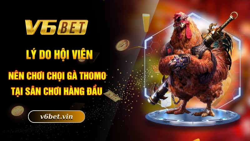 Lý do hội viên nên chơi chọi gà Thomo tại sân chơi hàng đầu