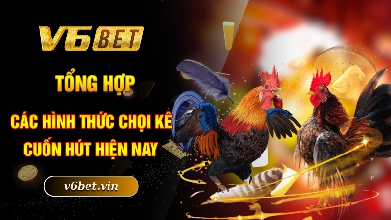 Tổng hợp các hình thức chọi kê cuốn hút hiện nay